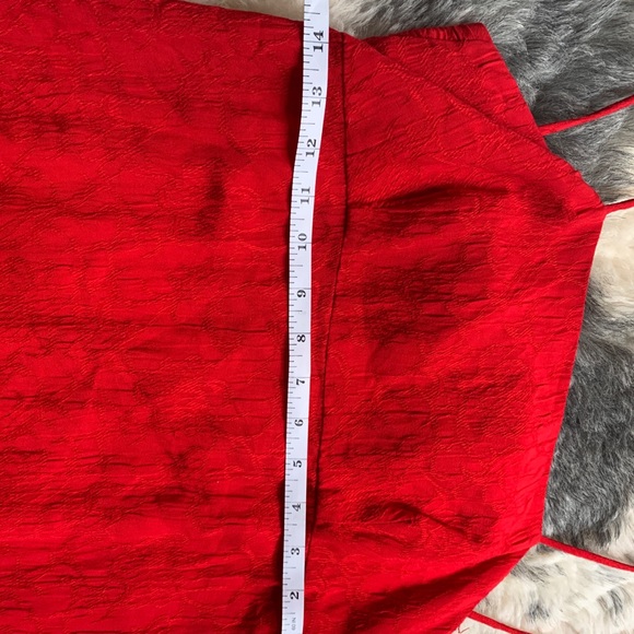 Red Dress - Picture 8 of 11